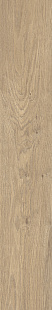 Hazelnut KA 02 SP Hazelnut KA 02 SP