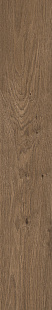 Cocoa KA 05 SP Cocoa KA 05 SP
