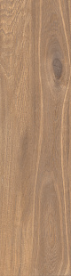 Spice KA 04 RD Spice KA 04 RD