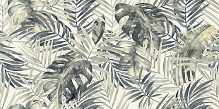 Palm SP Palm SP