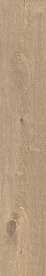Hazelnut KA 02 SP Hazelnut KA 02 SP
