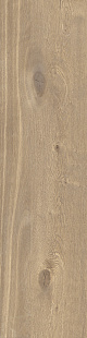 Hazelnut KA 02 RD Hazelnut KA 02 RD