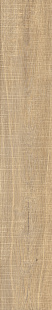 Hazelnut Raw KA 12 SP Hazelnut Raw KA 12 SP
