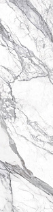 bianco lunensis JW 12 luc sq